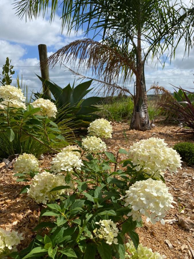 دارغافيل Turiwiri Farmstay المظهر الخارجي الصورة